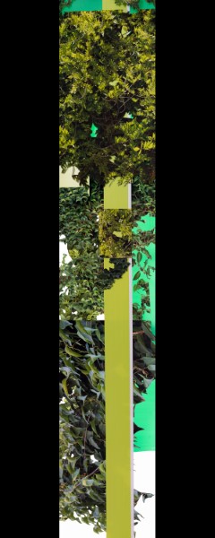3 מתוך 25